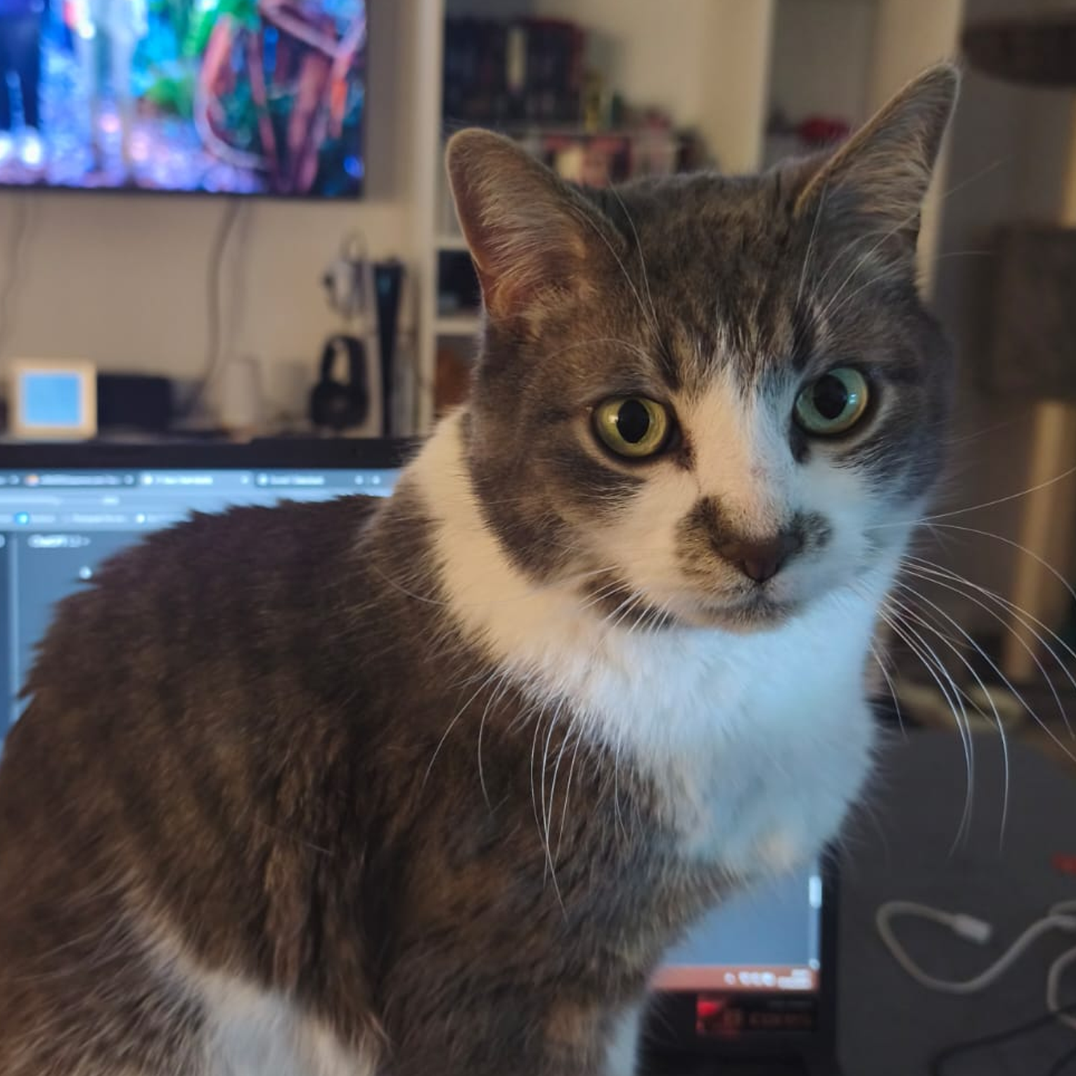 Profilbild von Micky